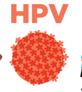 EDUCATE lesson for healthcare professionals